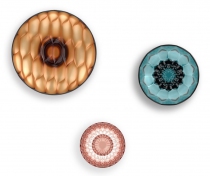 8c74dd2f-97fb-4d4e-ad4d-5b13bb181f37