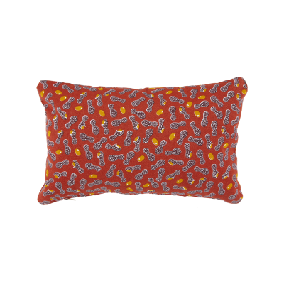 COUSSIN CACAHUETES 44x30