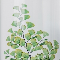 Herbarium Fougère Luthi verte Cylindre 100ml - Theophile Berthon 