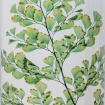 Herbarium Fougère Luthi verte Cylindre 100ml - Theophile Berthon 