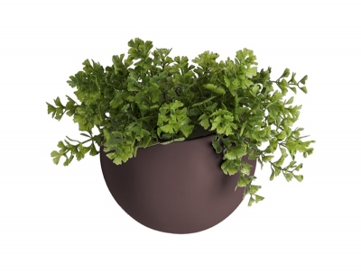 Pot � fleurs mural - Globe - Present time