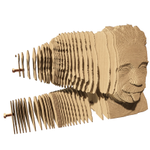 Puzzle 3D Albert Einstein - Cartonic