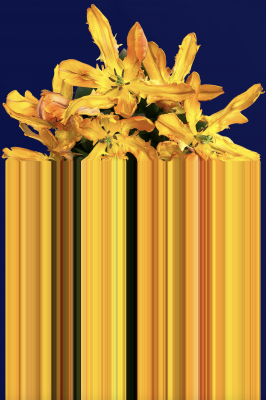 Tapis Glitch - QEEBOO